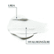Urea Nachtpflege