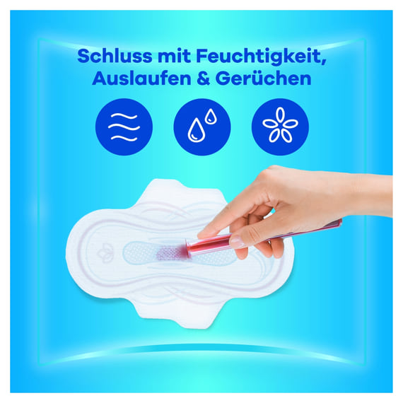 Binden Normal mit Flügeln - 12 Stk.