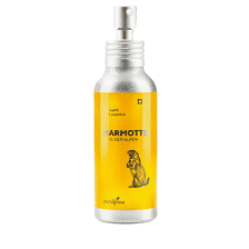 Marmotte Peace of the Alps Massage Oil