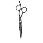 Heron Titan 5,5 Hair Scissors