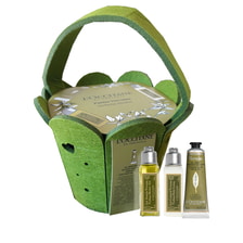 Verbena Basket