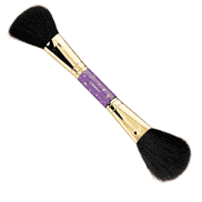 Dual-Ended Brush
