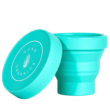 Hestia To-Go Case