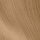 Colorsmetique 8,31 Biondo Chiaro Oro-Cenere