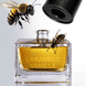 Caramelo Vanilla Extrait de Parfum