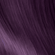 Colorsmetique - 44.22 Châtain Bourgogne Intense