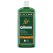 Shampooing Restructurant Huile D'Argan Bio
