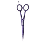 Pastel Plus Viola 5,5 Hair Scissors