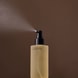 Organic Seeds Hair Scalp Tonic