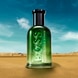 Bold Citrus Eau de Parfum