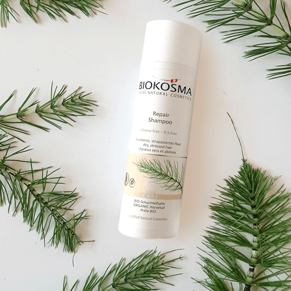 Shampoo Repair Horsetail