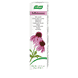 Echinacea Hautcreme