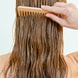 Classic Care pH-Optimal Shampoo
