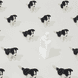Salty Dog Salt Spray