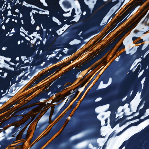 Man Oceanic Eau de Toilette