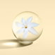 Hand Cream
