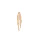 Concealer Perfect Under Eye - Extra Light