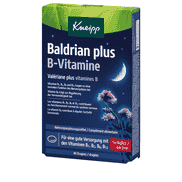 Valerian + B Vitamins 40 Drg.