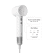 High-Speed Hair Dryer SE Special
