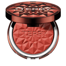Tea To Tan Powder Blush N5 - Brick Beach