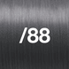 /88 Intensives Asch