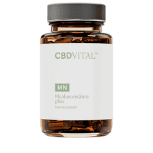 Hyaluronic Acid Plus - 60 Capsules
