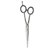 Satin Plus E 5.5 Hair Scissors