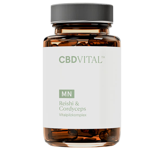 Reishi & Cordiceps - 60 Capsules
