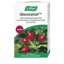 Glucosamin Plus - 60 Tabletten