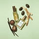 Body Amazon Oil