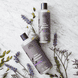 Lavender Shine Shampoo