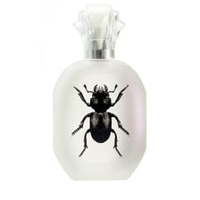 Alessandro Manfredini - Eau De Parfum