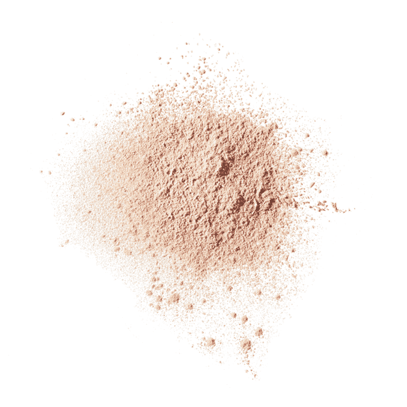 Blot Setting Powder
