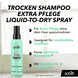 Fresh it Up Dry Shampoo Extra Pflege