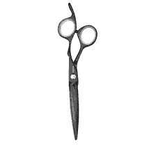 Forbici per capelli Heron Titan 5,5