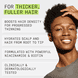 Scalp + Hair Conditioner