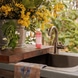 Liquid Soap - Rose