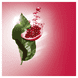 Multi-Intensive Rose Radiance