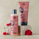 Soft Wild Rose Colour Preserve Conditioner