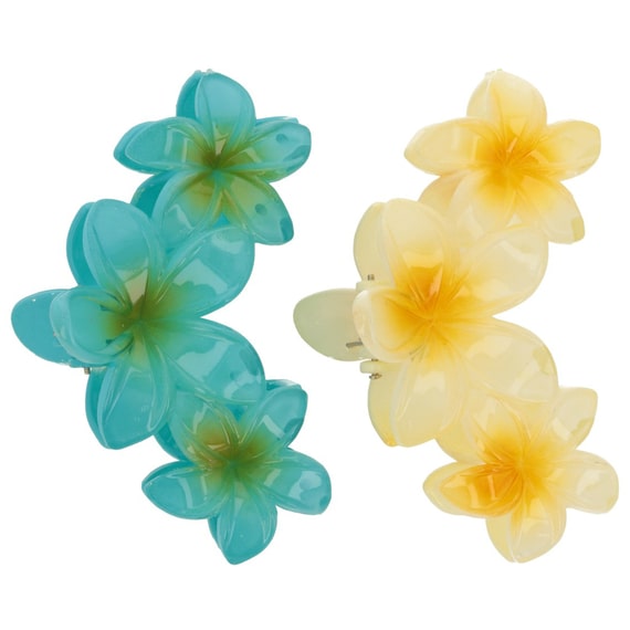 Set Pinces À Cheveux Frangipane