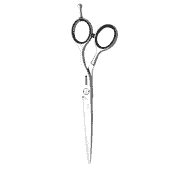 Ocean 5,75 Hair Scissors