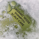 Organic Seeds Green Peas Shampoo Scalp Care