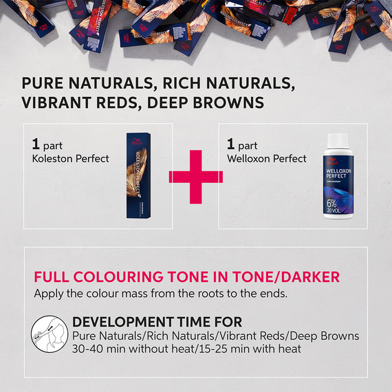 「SIAM SHADE/10～The Perfect Collection～」 Shiseido UV PROTECTIVE COMPACT FOUNDATION SPF30 - Foundation