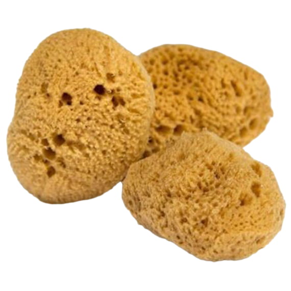 Menstrual Sponges M - 3 pcs.