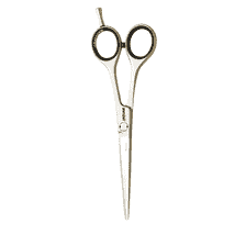 Forbici per capelli Perfect 6.0