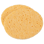 Cosmetic Sponge