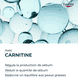 Clinical Fluide Matifiant