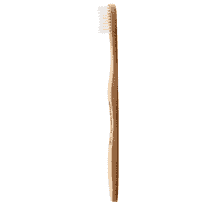 Toothbrush Adults White