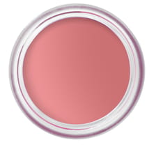 Pot Rouge Velvet Matte Tea Rose