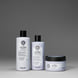 Sheer Silver Masque